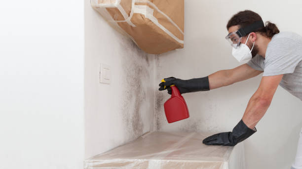 Professional Attic Mold Removal technician working in Caldwell, NJ