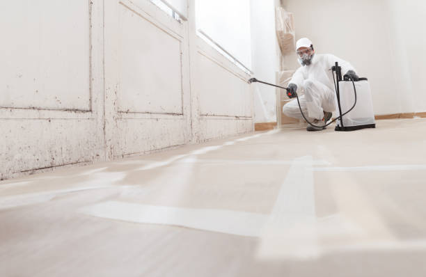 24/7 Emergency Attic Mold Removal experts in Caldwell, NJ