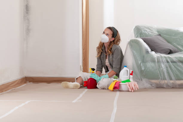 Reliable Attic Mold Removal contractor in Caldwell, NJ by WQB Mold Removal